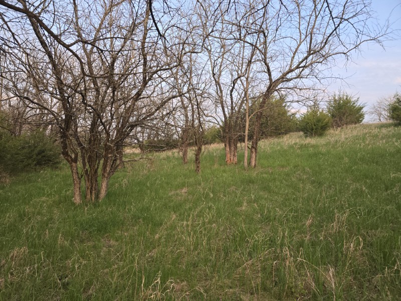 Listing photo 48